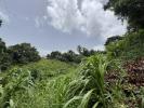 Vente Terrain Riviere-salee  97215 1345 m2