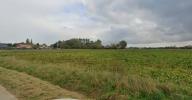 Vente Terrain Eringhem  59470 560 m2