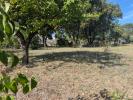 Vente Terrain Sardan  30260 681 m2