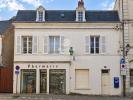 Vente Immeuble Chatillon-sur-indre  36700 8 pieces 238 m2