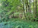 Vente Terrain Saint-leon-sur-l'isle 24110 1800 m2