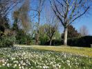 Vente Terrain Margaux  33460 750 m2