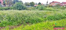 Vente Terrain Tampon  97430 514 m2