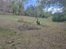 Vente Terrain Fronsac  33126 714 m2