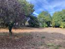 Vente Terrain Sarzeau  56370 1151 m2