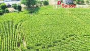 Vente Terrain Bournois 25250 2158 m2