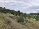 Vente Terrain Limoux  11300 8095 m2