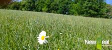 Vente Terrain Tulle  19000 5060 m2