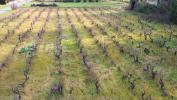 Vente Terrain Sainte-cecile-les-vignes  84290 591 m2