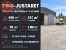 Vente Commerce Pins-justaret  31860 4 pieces 450 m2