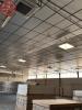 Location Commerce Muret  31600 3 pieces 1100 m2