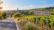 Vente Terrain Witry-les-reims  51420 657 m2