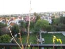 Vente Appartement Neuilly-plaisance  93360 4 pieces 84 m2