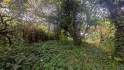 Vente Terrain Pressins  38480 408 m2