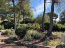 Vente Terrain Ollioules  83190 800 m2