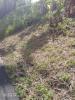 Vente Terrain Francois  97240 689 m2