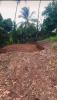 Vente Terrain Trinite  97220 794 m2