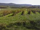 Vente Terrain Ruoms  07120 2100 m2