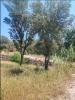 Vente Terrain Orange  84100 668 m2