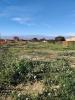Vente Maison Jonquieres  84150 80 m2