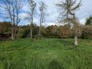 Vente Terrain Saint-caprais-de-bordeaux  33880 7891 m2