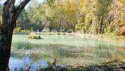 Vente Terrain Chemery 41700 4440 m2