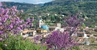 Vente Terrain Apt  84400