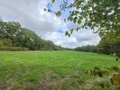 Vente Terrain Locoal-mendon  56550 32767 m2