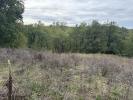 Vente Terrain Croignon  33750 842 m2