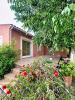 Vente Maison Sorgues 84700 4 pieces 118 m2