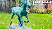 Vente Prestige Langoat  22450 15 pieces 625 m2