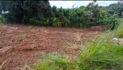Vente Terrain Lamentin 97232 776 m2