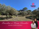 Vente Terrain Grans  13450 3200 m2