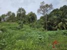 Vente Terrain Abymes  97139 819 m2