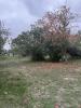 Vente Terrain Noe  31410 590 m2