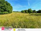 Vente Terrain Brinay  18120 13 pieces 1242 m2