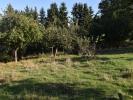 Vente Terrain Cheppy  55270 1778 m2