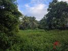 Vente Terrain Baie-mahault  97122 606 m2