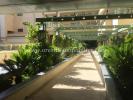 Vente Appartement Nice CARRA© D'OR 06000 3 pieces 82 m2