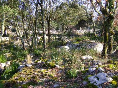 photo For sale Land LABEAUME 07