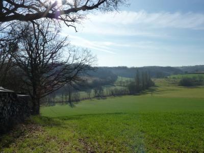 Vente Terrain AGASSAC 31230