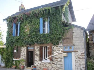 photo For sale House LAGRAULIERE 19