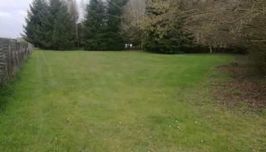 For sale Land TUFFE  72