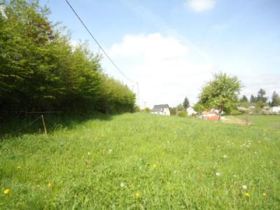 photo For sale Land TULLE 19