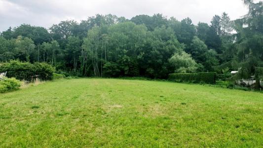 photo For sale Land AYDOILLES 88