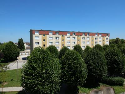 photo For rent Apartment CHAUMONT 52