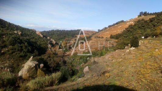 photo For sale Land COLLIOURE 66