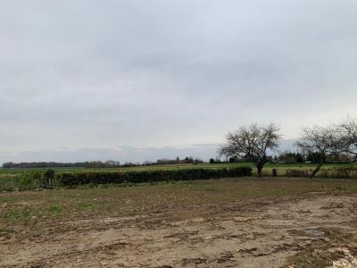 photo For sale Land TESSON 17
