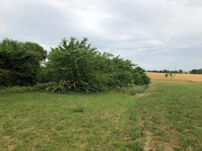 photo For sale Land SAINT-JEAN-D'ANGELY 17