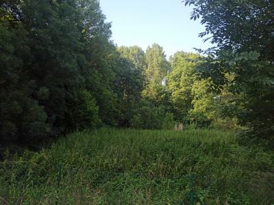 For sale Land CHENNEGY  10